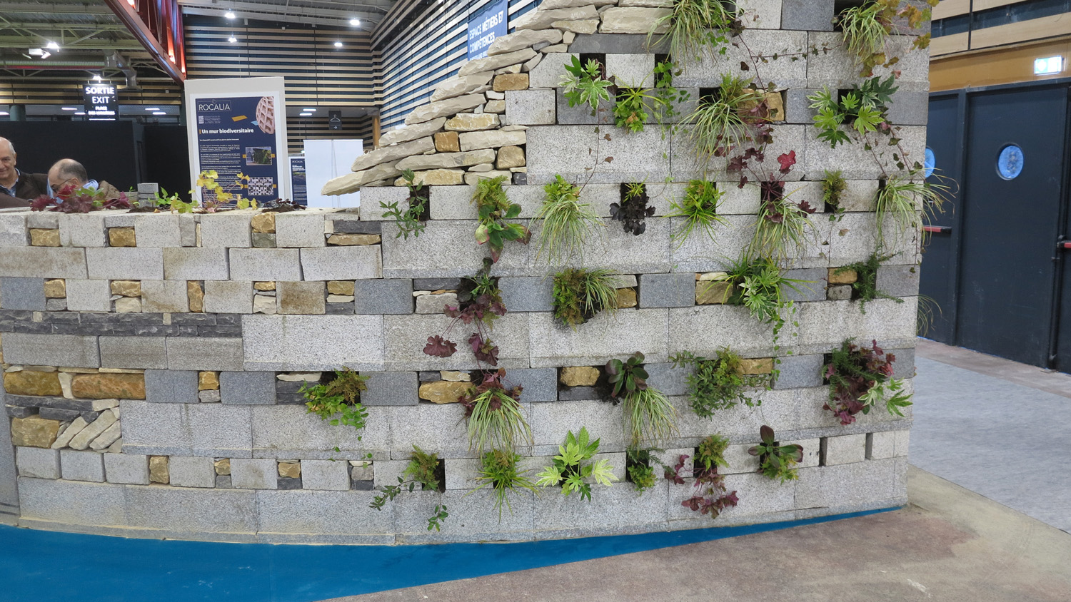 Glemas Paysalia 2023 Mur vegetalise.jpg