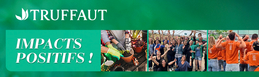 ARCHE - TRUFFAUT - S50