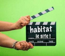 lancement site habitat