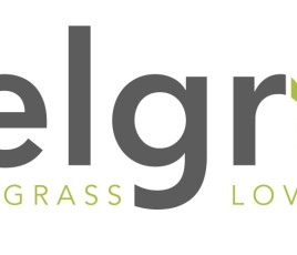 Logo exelgreen