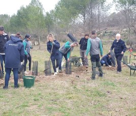 truffaut plantation