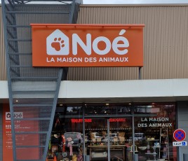 noé
