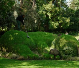 jardin