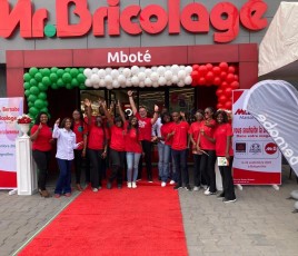 mr bricolage congo
