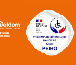 weldom handicap