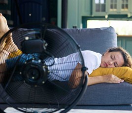canicule 2