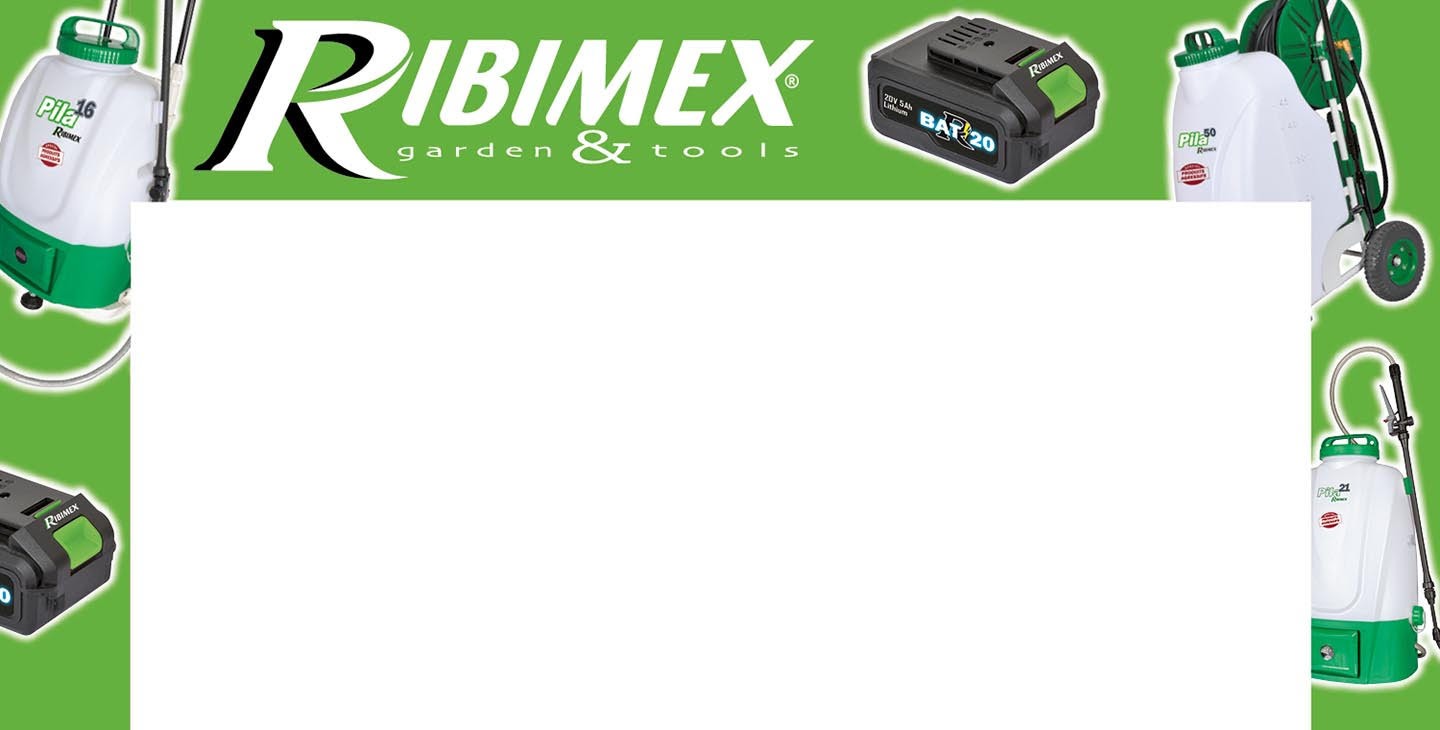 ARCHE - RIBIMEX - S24