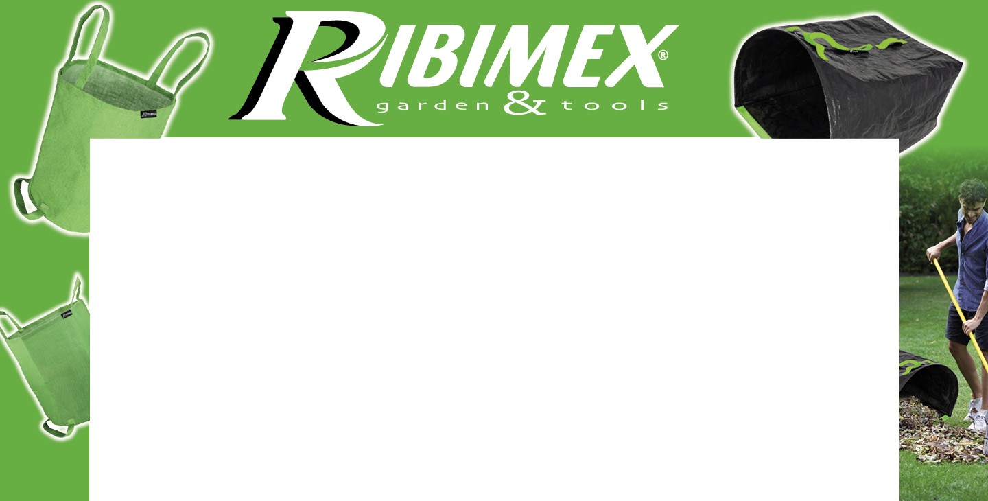 ARCHE - RIBIMEX - S36