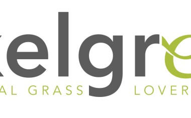 Logo exelgreen