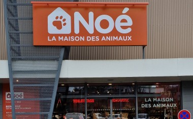 noé