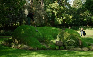 jardin