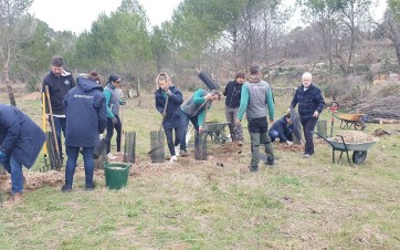 truffaut plantation