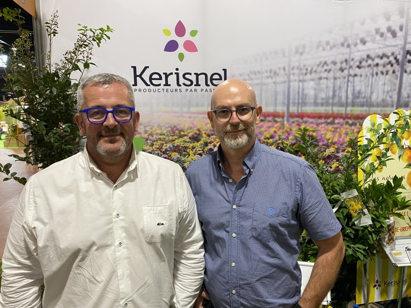 desmartis kerisnel