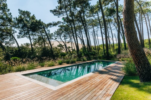 piscine arbres