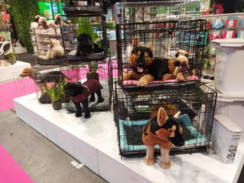 peluches