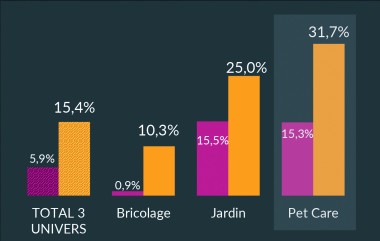 GfK Croissance