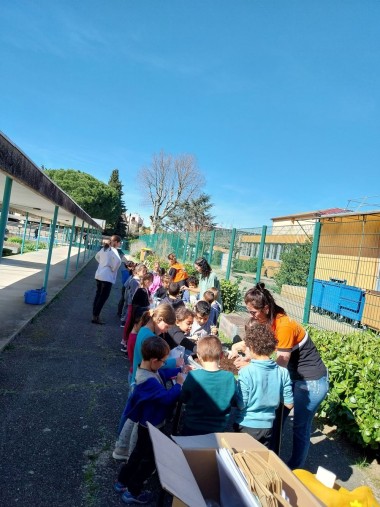 Journée  "Je bricole à l'école" à  Cavaillon