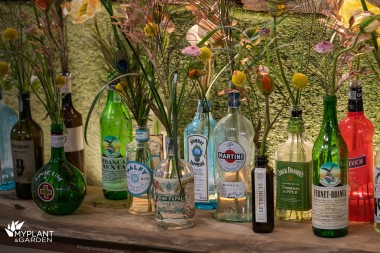 fleurs bouteille