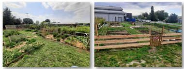 potager  portets sur garonne