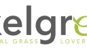 Logo exelgreen