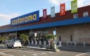 castorama